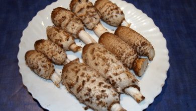 Cocinando con Coprinus comatus